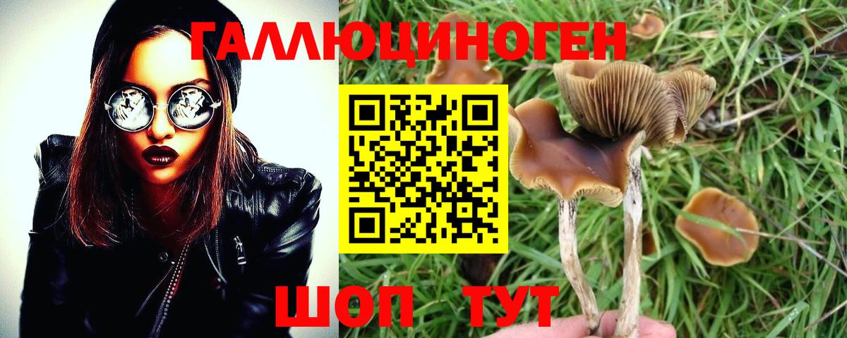Псилоцибиновые грибы MAGIC MUSHROOMS  Вход с VPN  Боровичи 